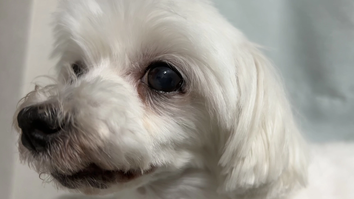 代理支援金 反映のご報告📝