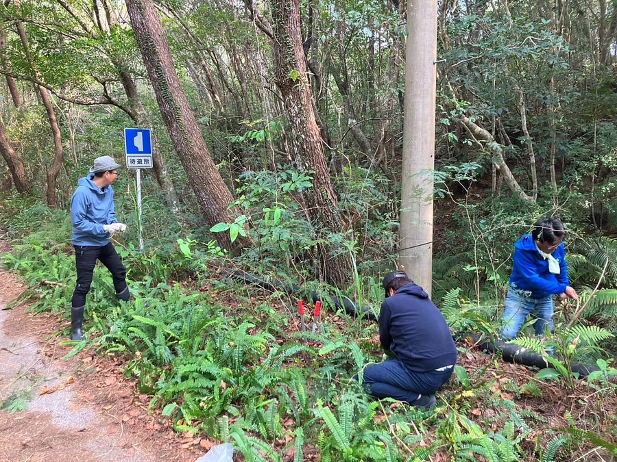 プロジェクト活動の外来植物防除を開始！