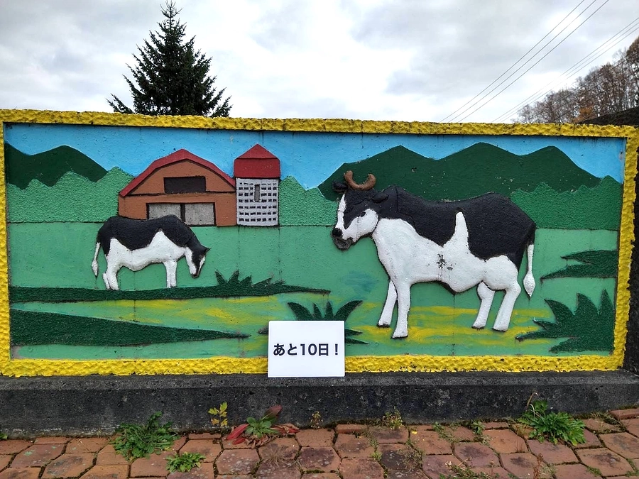 あと10日！今晩NHKさんでの放送が決定しました！