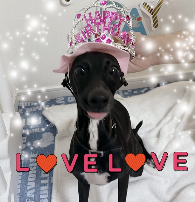 皆さま✨のおかげで無事目標達成😭🎉