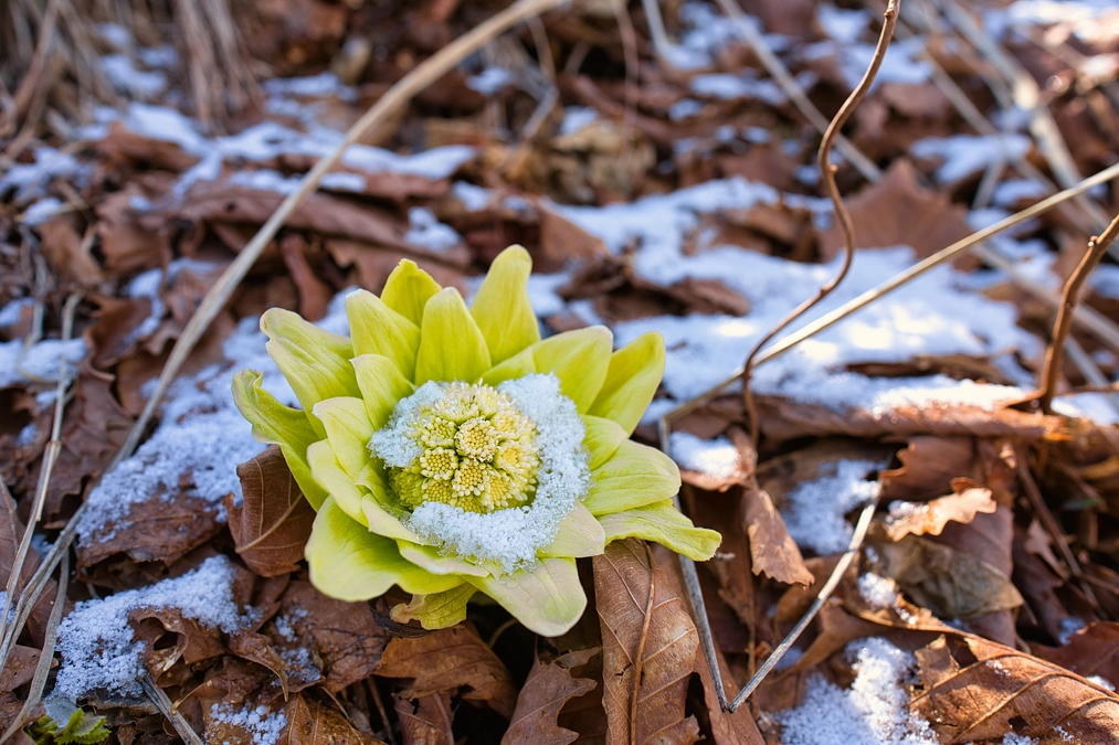 SEIZE THE DAY「THE WORLD」Report-21