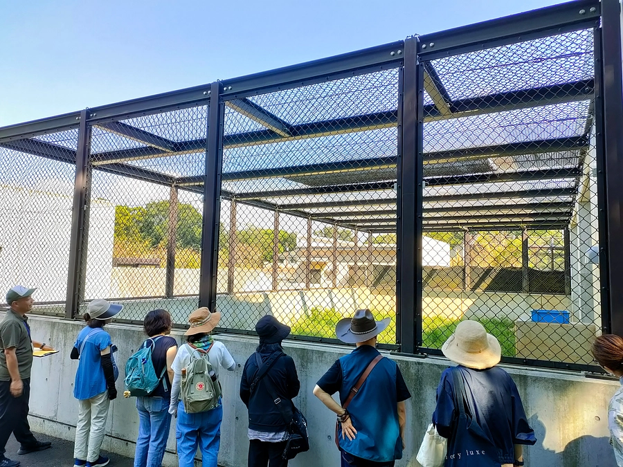 【リターン報告】体験リターン　『管理道路ツアー』と『ゴリラバックヤードツアー』を開催しました！