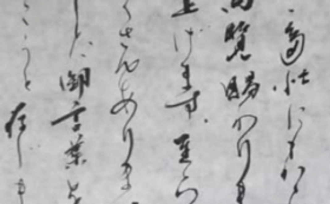 お気軽に応援コース♪