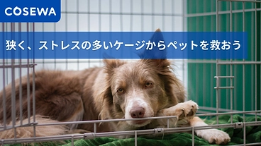 狭く、ストレスの多いケージからペットを救おう【Cosewa】 のトップ画像