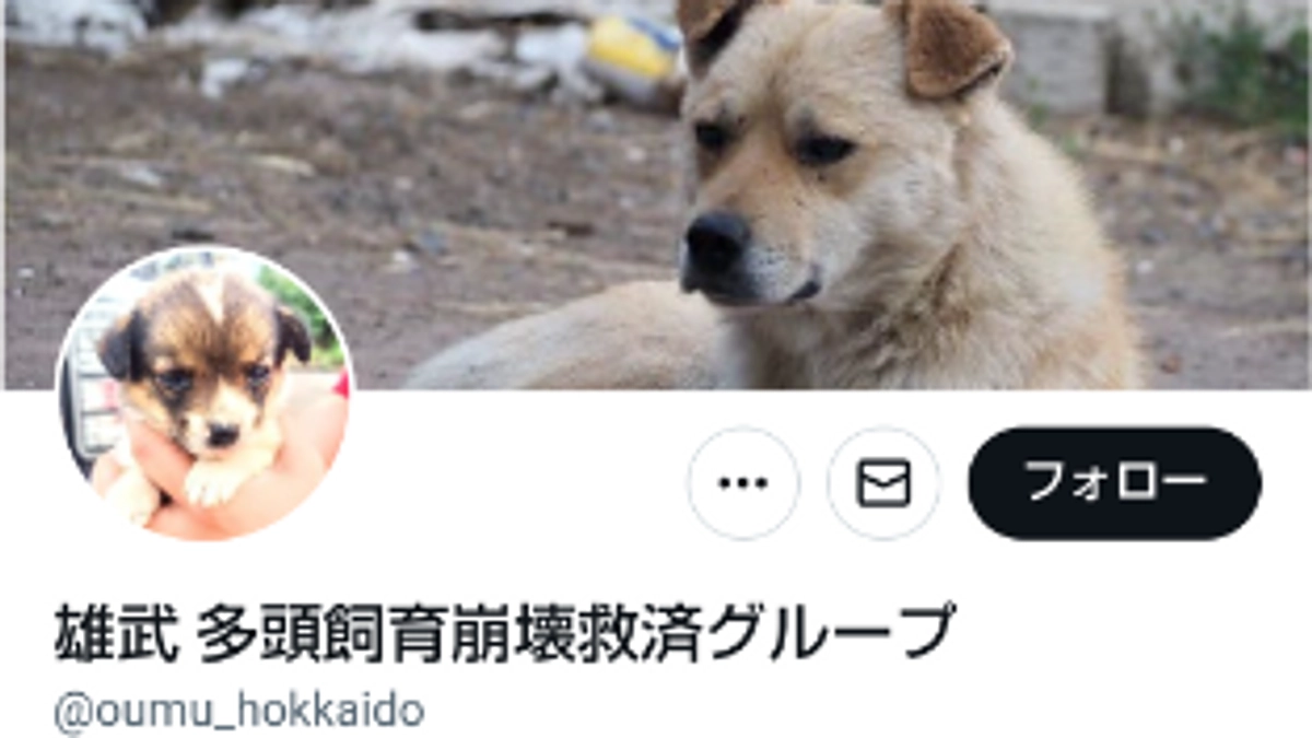 今後の活動報告について