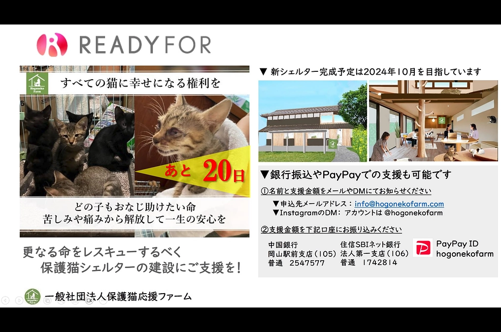 【活動報告】保護猫シェルター建設に伴う応援のお願い（カウントダウン20日！）