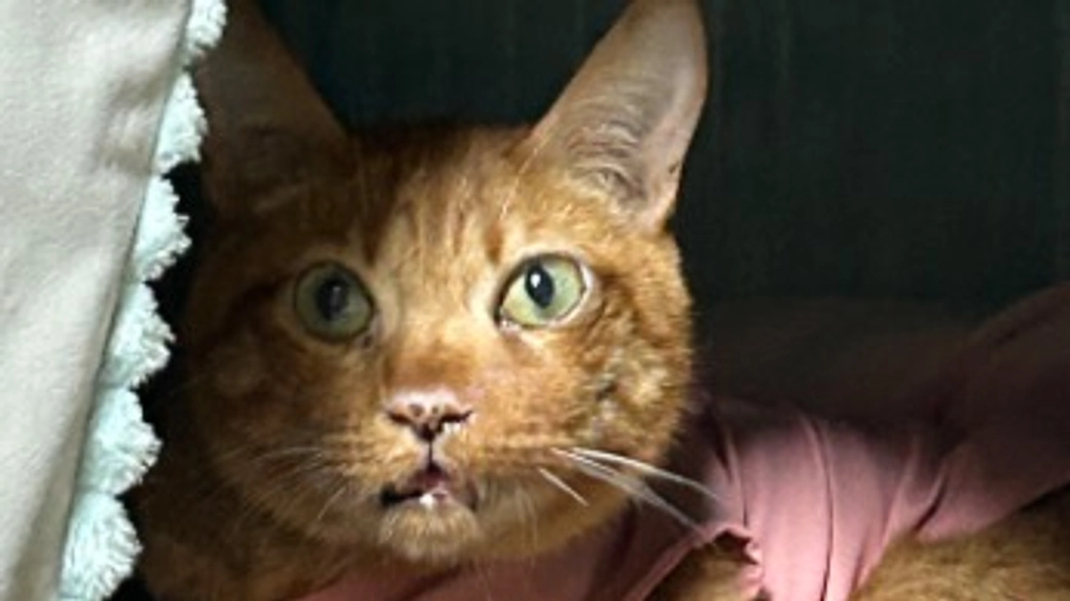 6／24   14回目の抗がん剤治療　　2.92kg