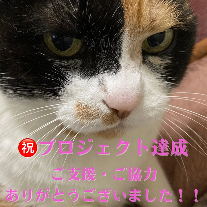【プロジェクト達成の御礼】ご支援・ご協力、ありがとうございました！