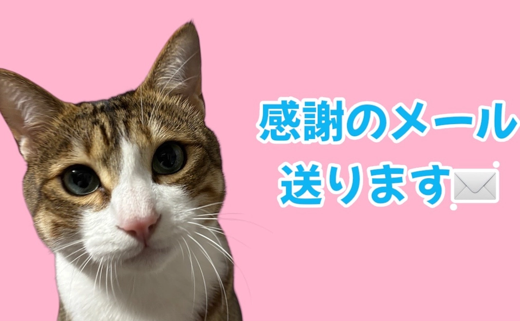 感謝のメールを送らせていただきます