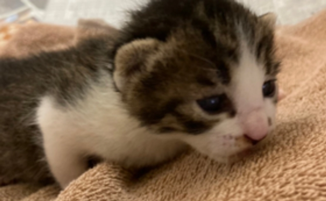 お気持ち支援|1万円