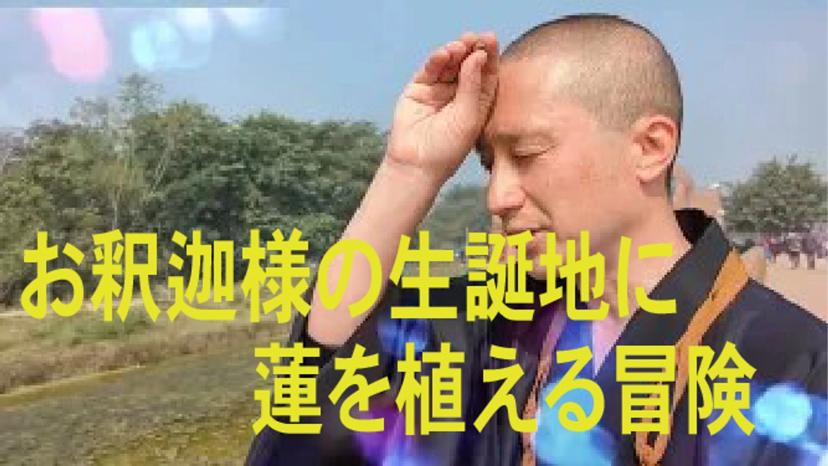 発掘と蓮の植樹　してきました！