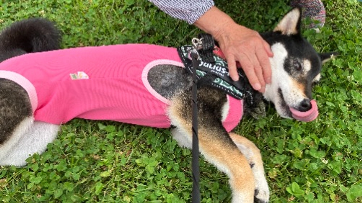 再発から1週間、検査のために病院へ行ってきました。