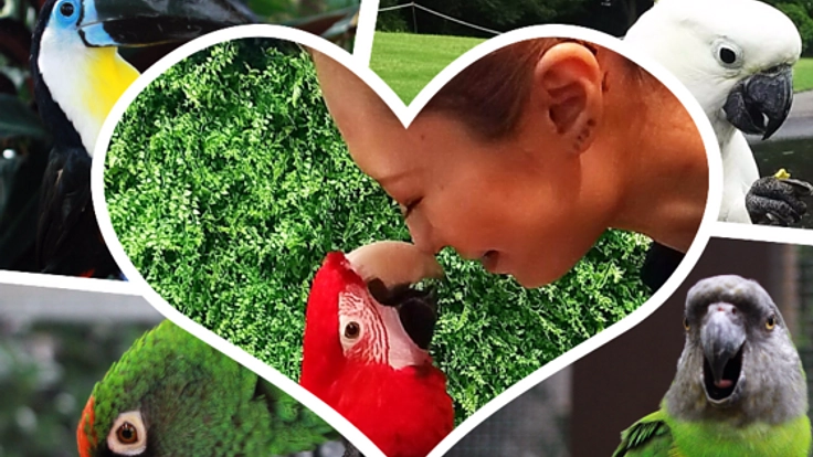 鳥と人が幸せに暮らせる社会の手助けとなる事業を始めたい！