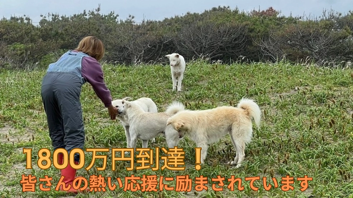 1800万円突破しました！残り５日走りきります！