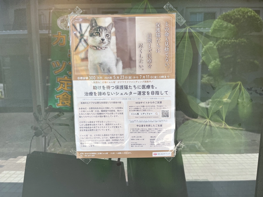 『デリス』さんにチラシを貼って頂きました❣️