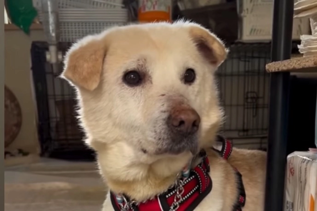 新入りさんが増えています。イベント、ぜひお越しください。