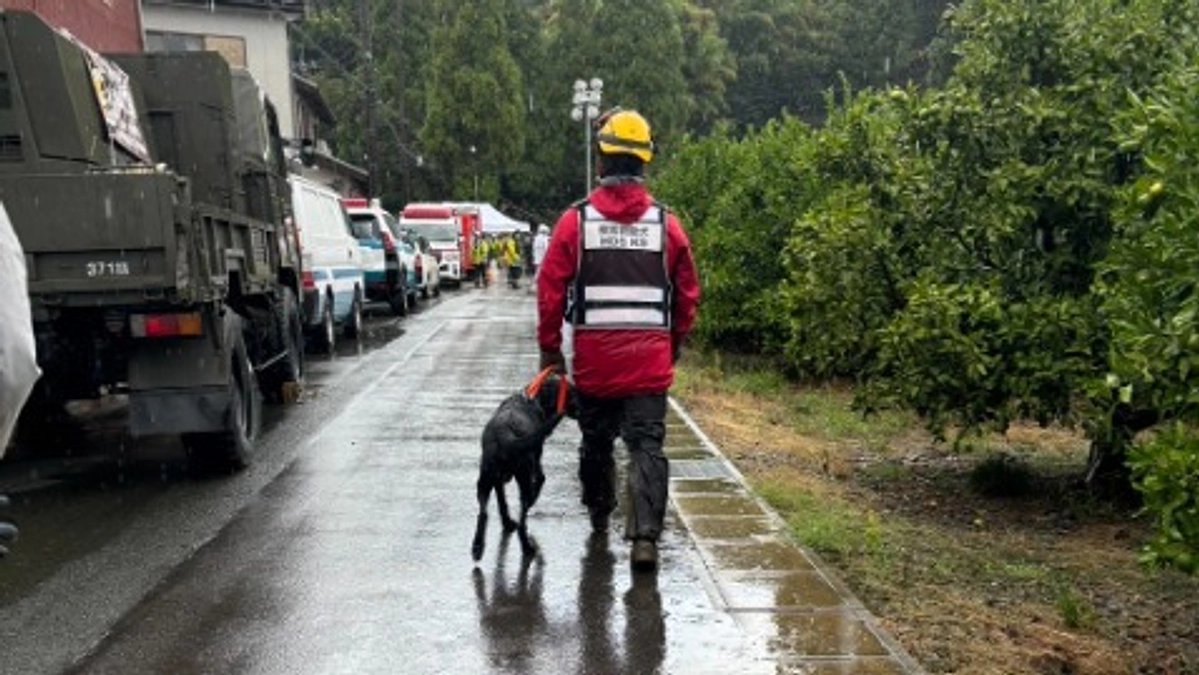 愛知県蒲郡市土砂崩れ捜索救助犬派遣の報告です