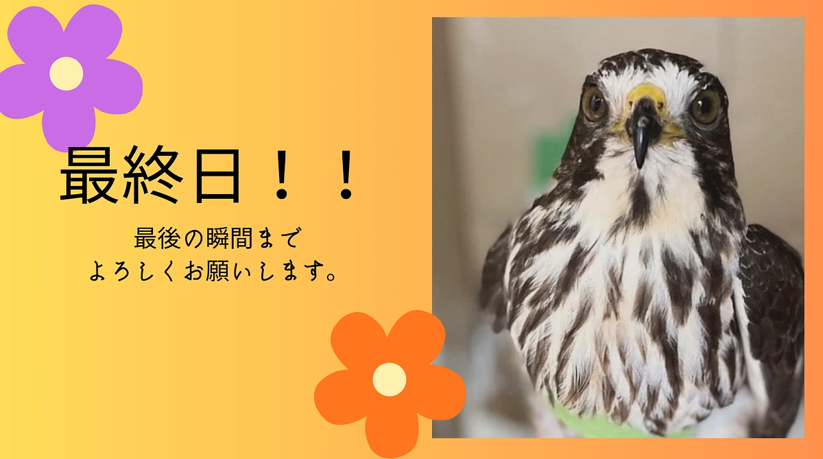 【皆さんと共に駆け抜けたクラウドファンディング】