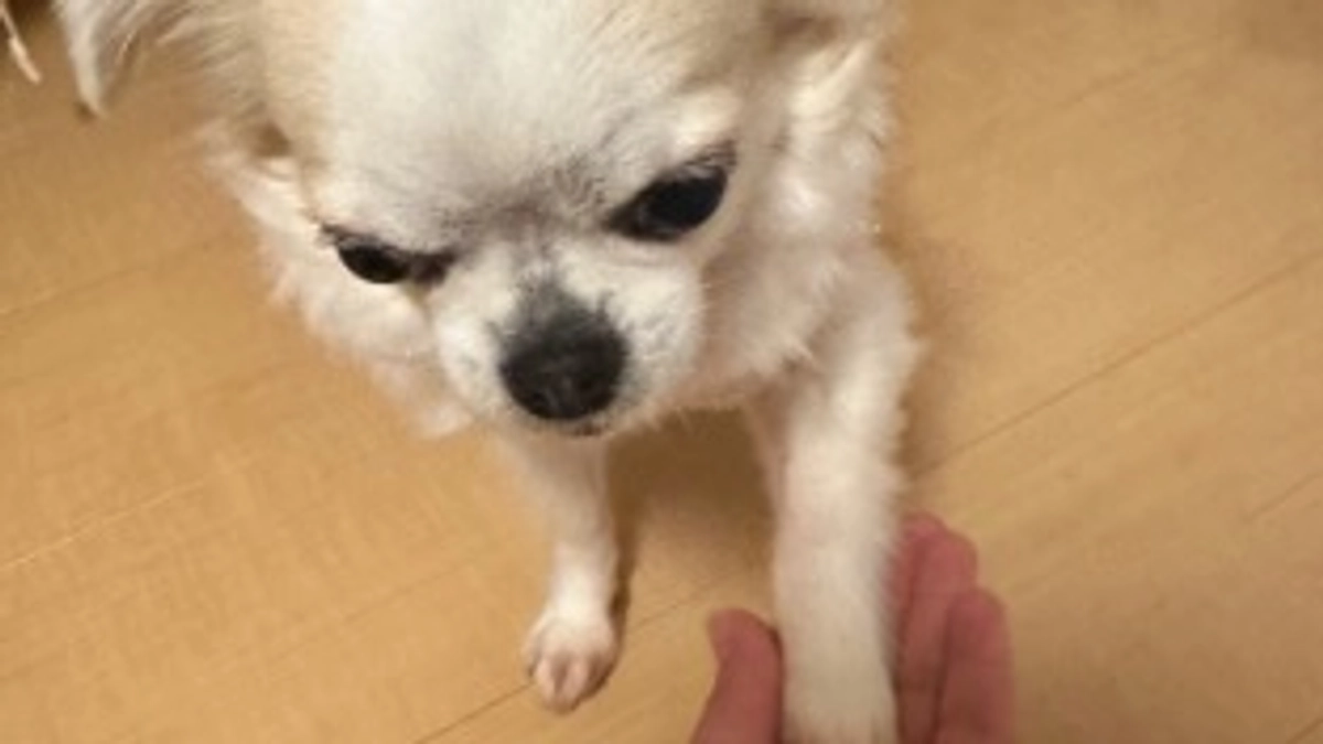 インスタライブありがとうございました❣️