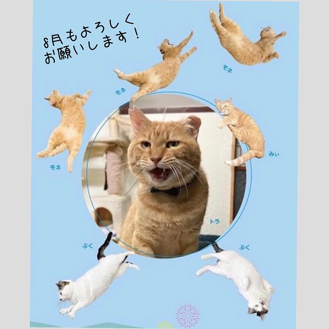 7月も支えていただきありがとうございました！