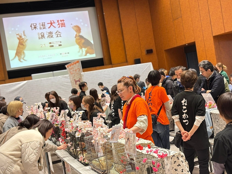 ２月１日はHEBEL HAUS × 朝日新聞Sippo 保護犬猫譲渡会に参加しました。