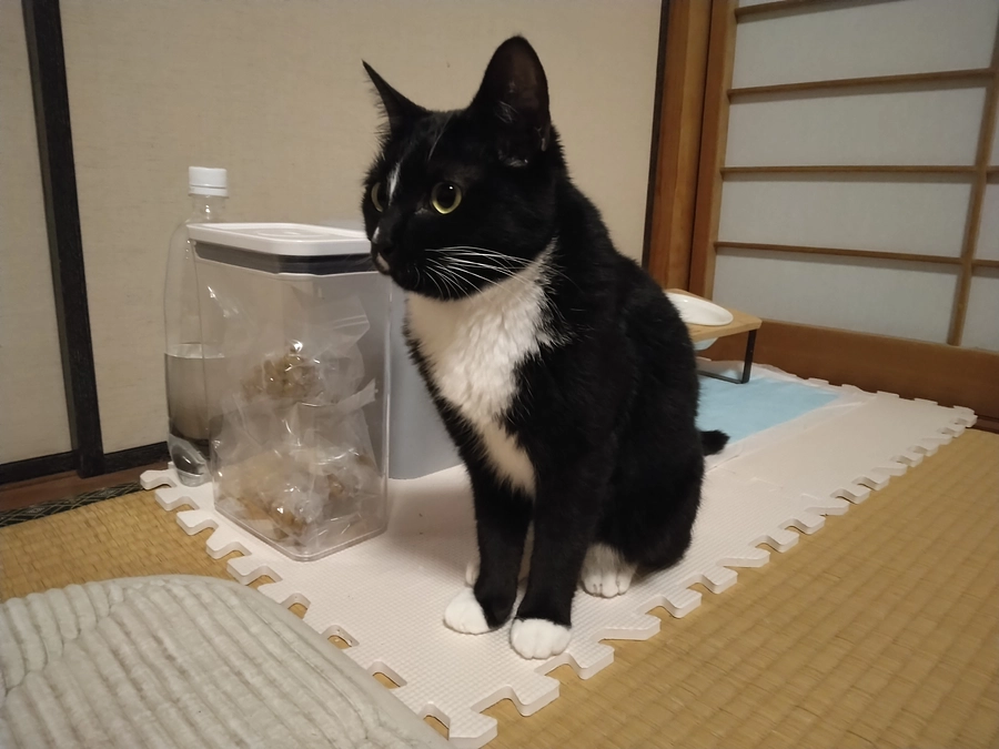 5/6はなちゃんの様子