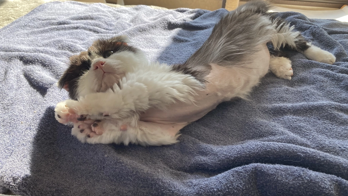 10/15のテオくんの様子