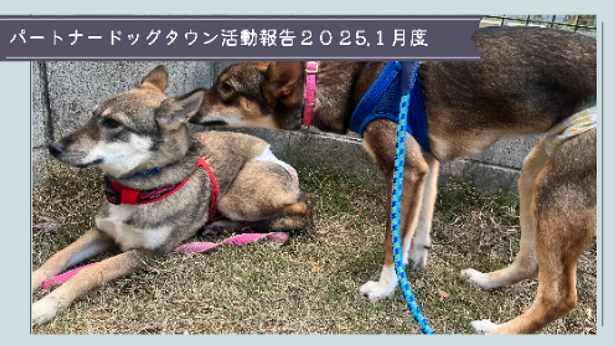 活動報告2025年1月度