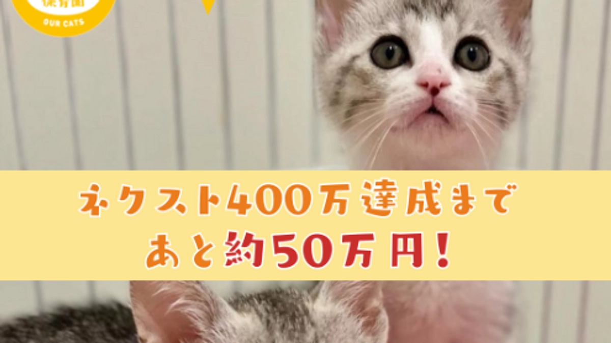 第6弾プロジェクト【残り7時間！ 】ここまでどうもありがとうございます！！