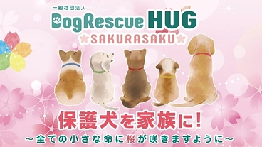 ドッグレスキューハグサポーター『桜を咲かせ隊』募集中！ のトップ画像