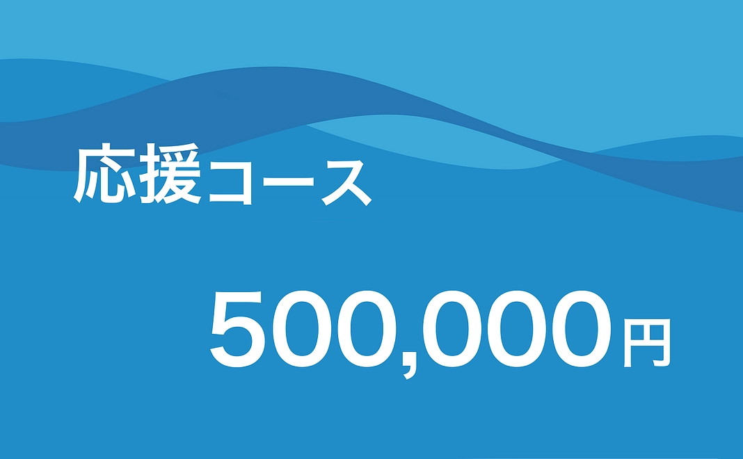 応援コース | 500,000円