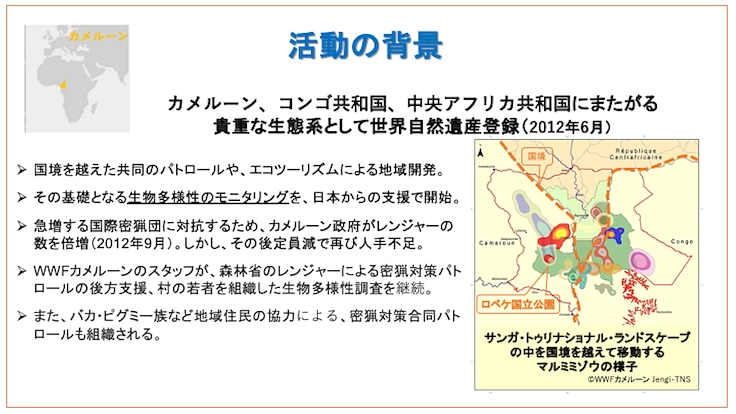 【緊急支援第2弾】マルミミゾウの楽園を密猟者の手から護りたい!! 5枚目