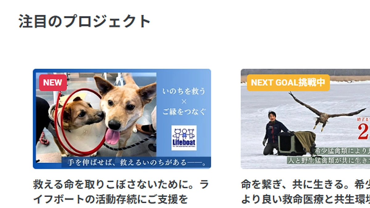 【応援いただいている皆様に感謝】注目のプロジェクトに掲載されました！