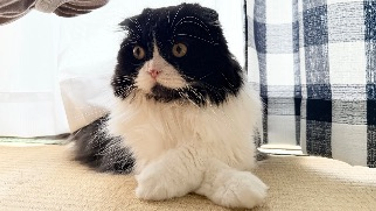 退院後、初診察へ行ってきました。