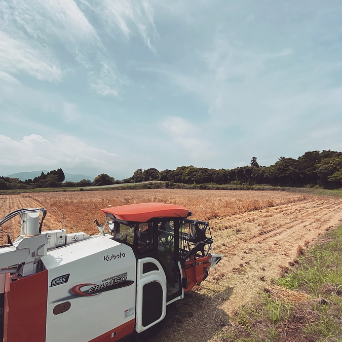 ３年後の活動報告