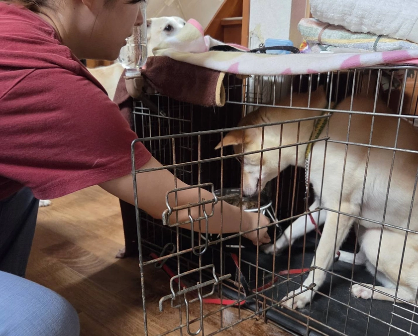 みんなのお楽しみ！レーベンのご飯タイムのこと