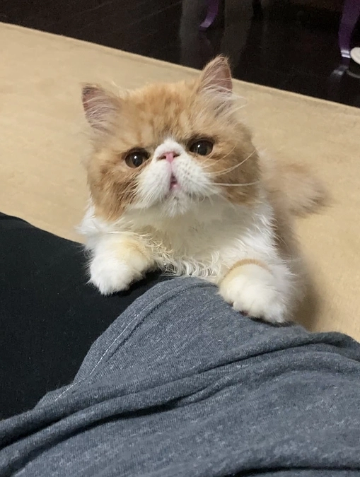 プロジェクト達成しました！！