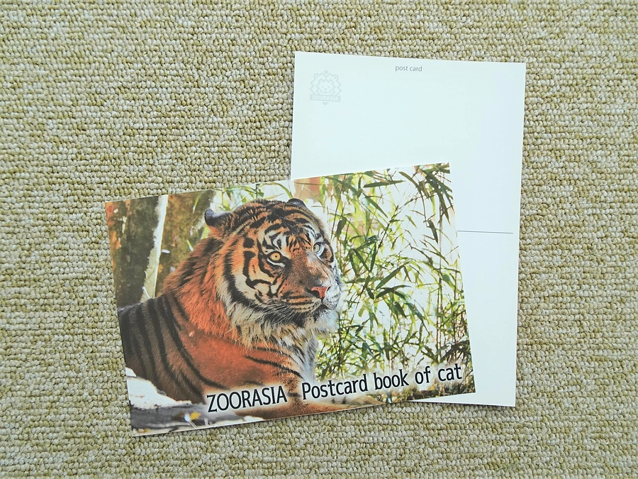 おすすめリターン紹介⑰　ズーラシアポストカードブック of cat