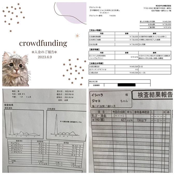 6/9☆入金のご報告☆