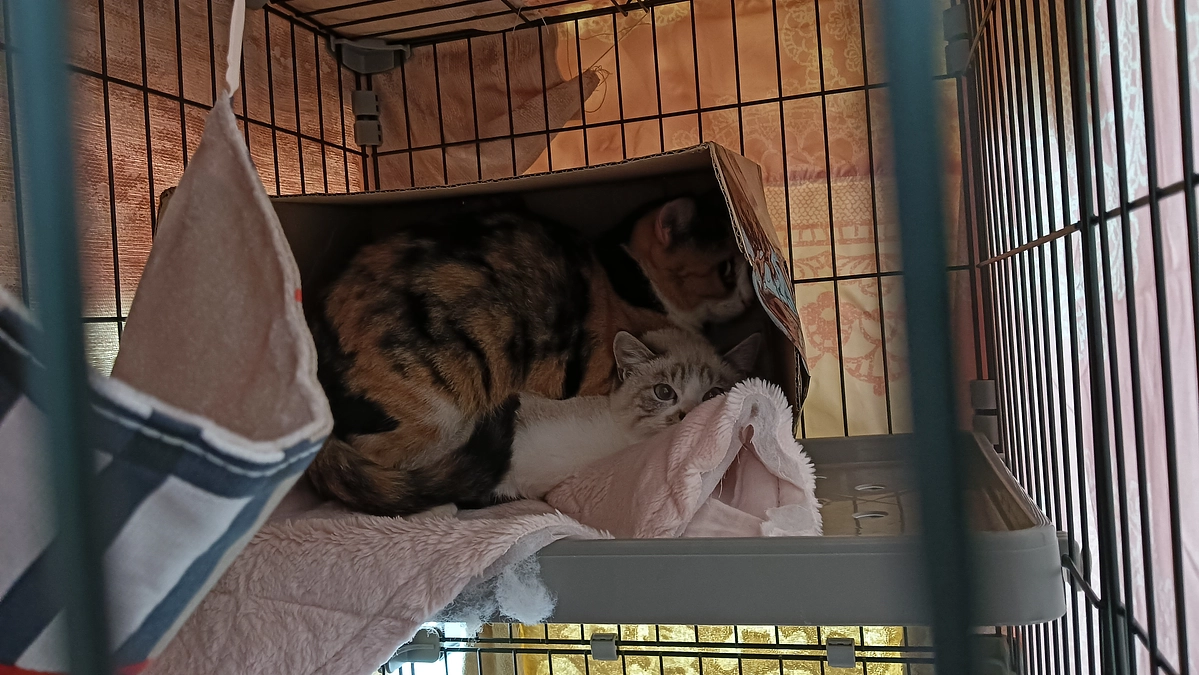 毎日寒いですね🥶