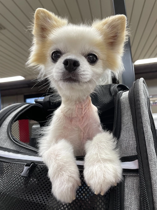 術後検診1回目‼️