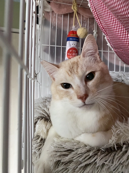 すみません投稿遅れました。