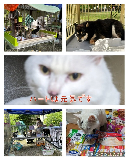 経過観察1ヶ月過ぎました