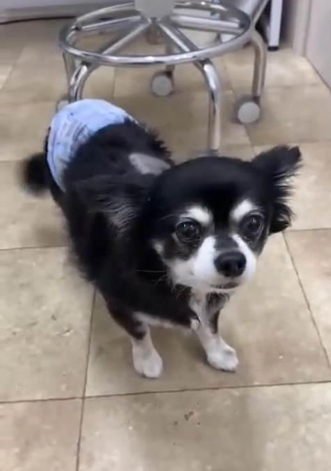 点滴取れました