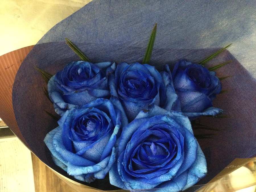 旅立つ子達を見送るときには、あの子達にぴったりなお花を選んであげるのが、精一杯の感謝のつもりでいます