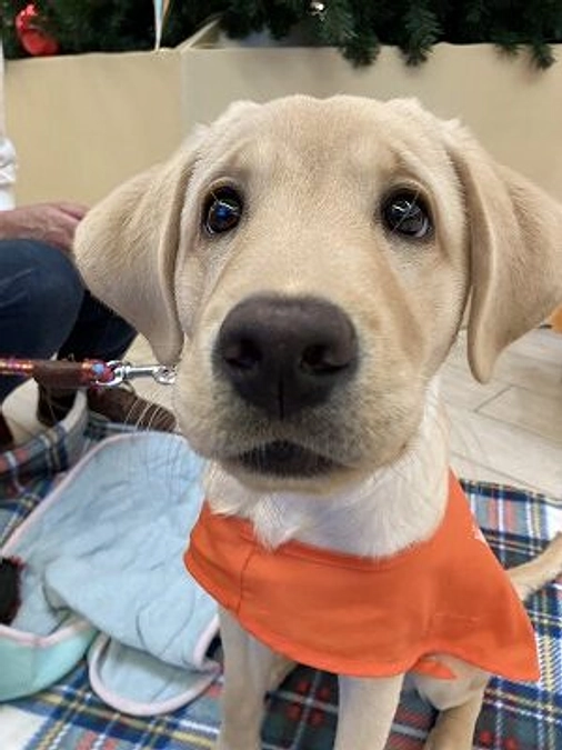 クラウドファンディング最終日のお知らせ