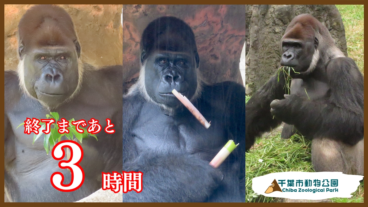 あと3時間です。