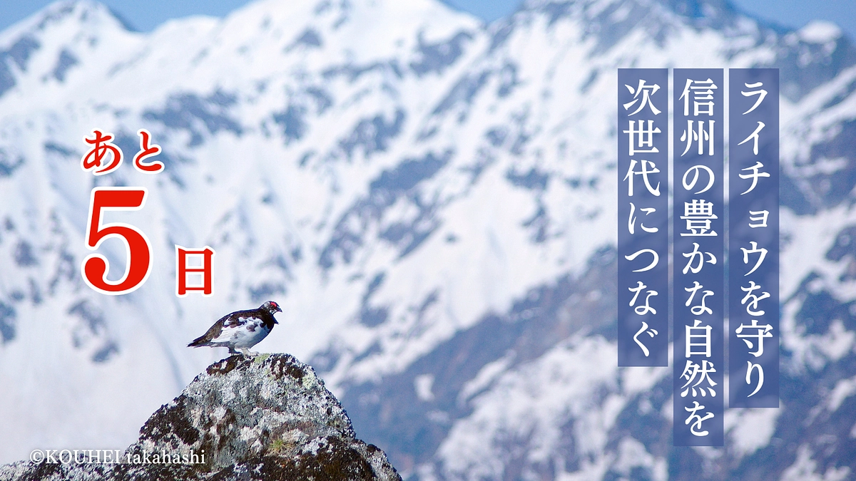  【残り5日】拡散のご協力もどうぞよろしくお願いします