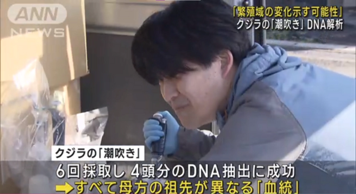 クジラについて詳しくなれる！セミナー＠青山学院大学を開催＆テレ朝のニュースで紹介されました!!