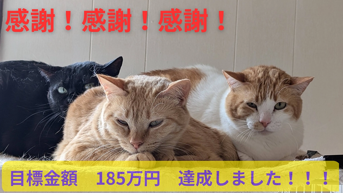 皆様のご支援に心から感謝を申し上げます！！！